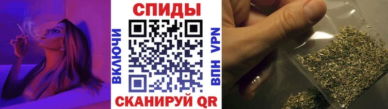 Бутират буратино  Дубна 
