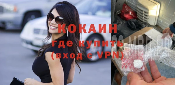 прущие грибы Горняк