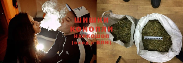 ГАЛЛЮЦИНОГЕННЫЕ ГРИБЫ Гусь-Хрустальный