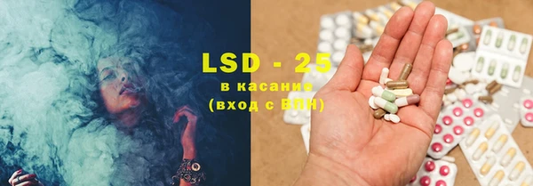 ГАЛЛЮЦИНОГЕННЫЕ ГРИБЫ Гусь-Хрустальный