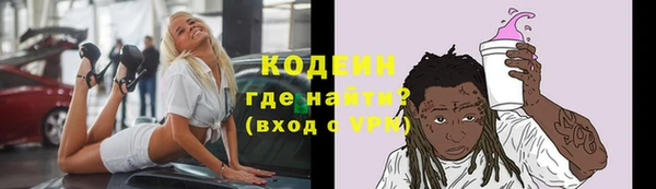 ГАЛЛЮЦИНОГЕННЫЕ ГРИБЫ Гусь-Хрустальный