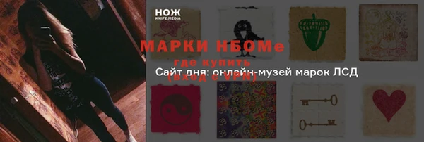 прущие грибы Горняк