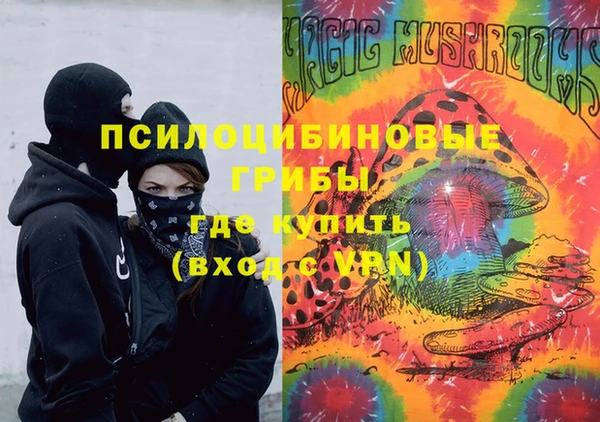 соль ск Горно-Алтайск