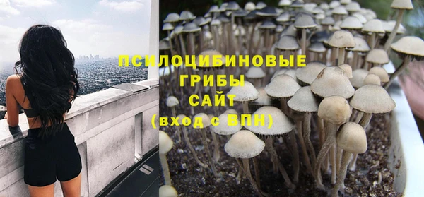 прущие грибы Горняк