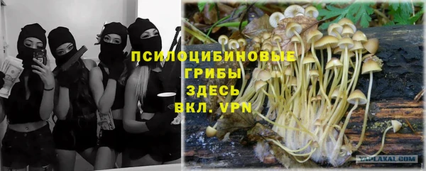 МДМА Гусиноозёрск