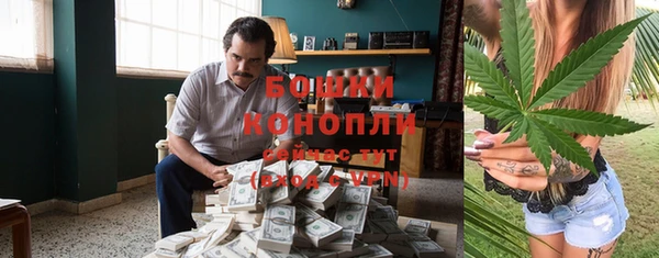 дживик Горнозаводск