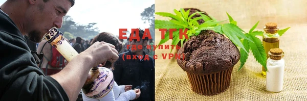 прущие грибы Горняк
