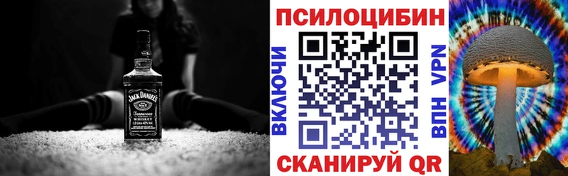 Псилоцибиновые грибы мухоморы где продают Дубна