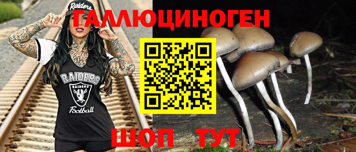 Галлюциногенные грибы Cubensis  Вход с VPN  Дубна 