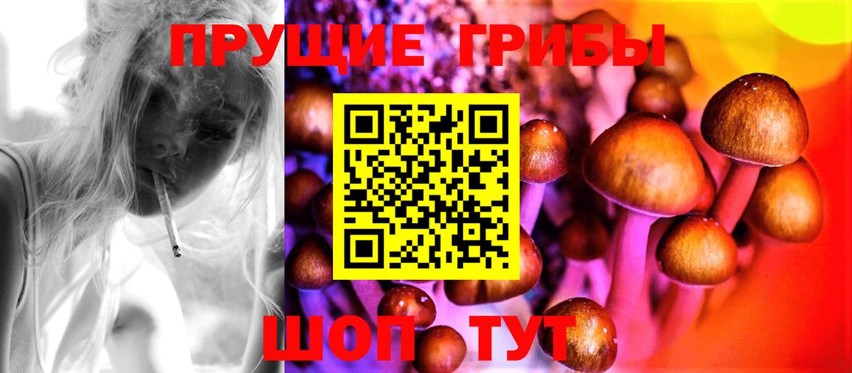 Псилоцибиновые грибы Magic Shrooms  Дубна  купить наркотики сайты  Псилоцибиновые грибы ЛСД 