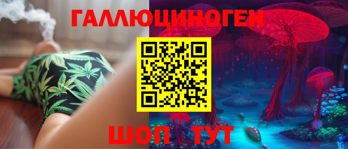 Псилоцибиновые грибы Cubensis Дубна