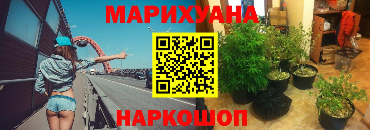 Бошки Шишки THC 21% Дубна