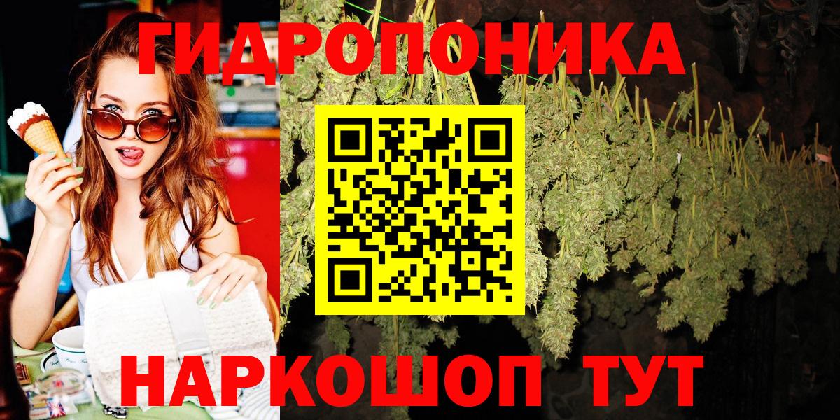 Канабис план  Бошки Шишки Bruce Banner  Бошки марихуана Amnesia  Каннабис VHQ  Дубна 